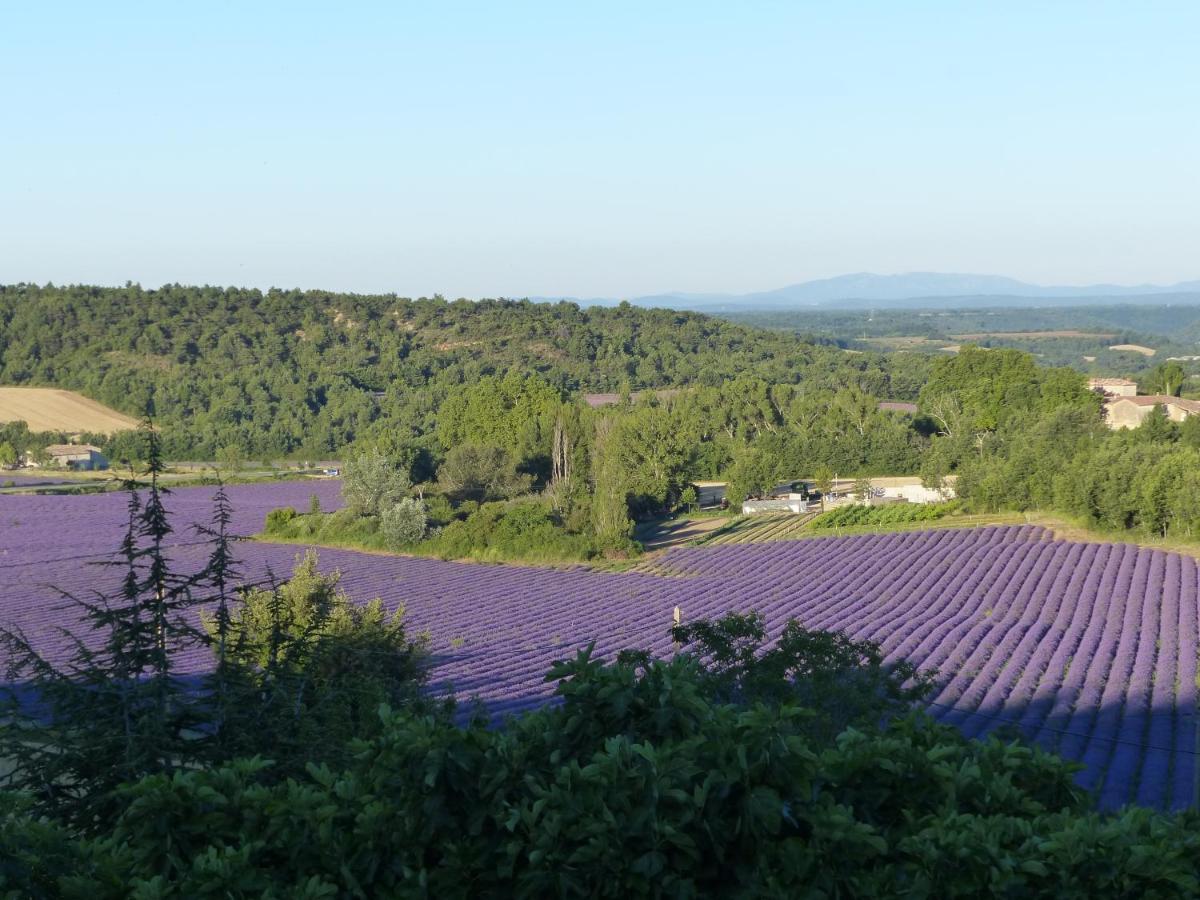 La Ferme Du Petit Segries Bed And Breakfast Мустие Сен Мари Екстериор снимка