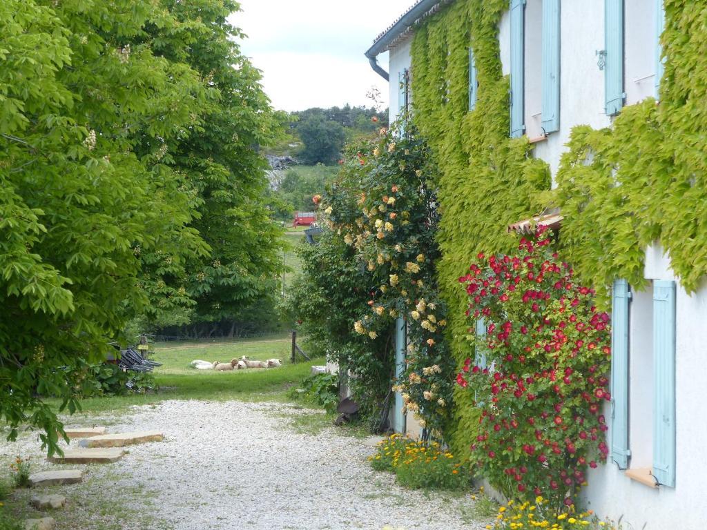 La Ferme Du Petit Segries Bed And Breakfast Мустие Сен Мари Екстериор снимка