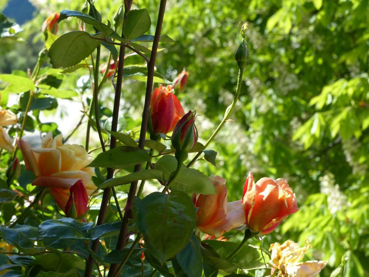 La Ferme Du Petit Segries Bed And Breakfast Мустие Сен Мари Екстериор снимка